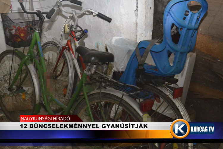 12 BŰNCSELEKMÉNNYEL GYANÚSÍTJÁK