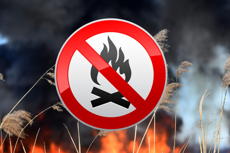 Nébih: a tűzgyújtási tilalom már csak Bács-Kiskun és Csongrád-Csanád megyére vonatkozik keddtől