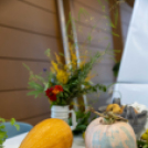 Magyarország Legszebb Konyhakertjei országos díjátadó