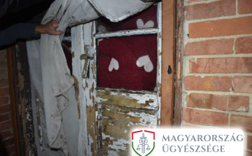 Nem bírt meglenni a testvére nélkül