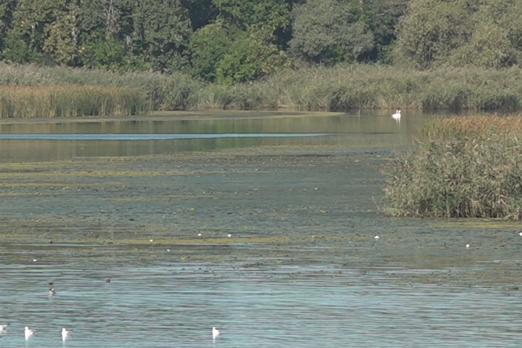  Október végén leálltak a viharjelzők a hazai tavakon
