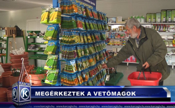 MEGÉRKEZTEK A VETŐMAGOK