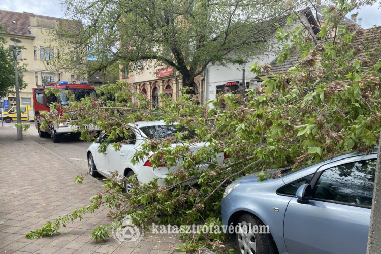 Autókra szakadt egy faág Szolnokon