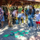 Fecskevató a Györffyben