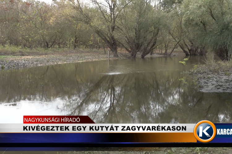 KIVÉGEZTEK EGY KUTYÁT ZAGYVARÉKASON