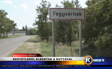 KEGYETLENÜL ELBÁNTAK A KUTYÁVAL