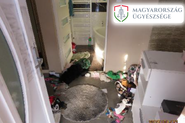 Megkötözte és kirabolta volt barátnőjét