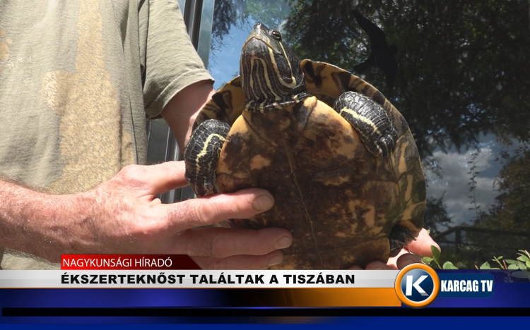 ÉKSZERTEKNŐST TALÁLTAK A TISZÁBAN