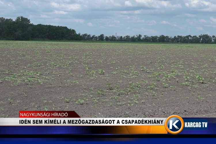 IDÉN SEM KÍMÉLI A MEZŐGAZDASÁGOT A CSAPADÉKHIÁNY