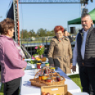 A legszebb konyhakertek