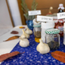 Magyarország legszebb konyhakertje szakmai nap