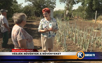 VÉDJÉK NÖVÉNYEK A NÖVÉNYEKET