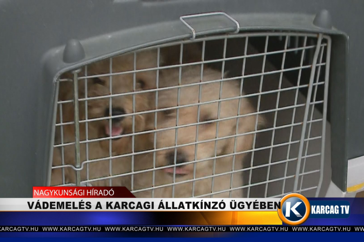 VÁDEMELÉS A KARCAGI ÁLLATKÍNZÓ ÜGYÉBEN