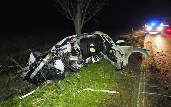 Halálos közlekedési baleset egy őz miatt Békés megyében