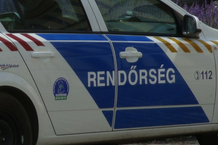 Felborult egy sertéseket szállító kamion Taszárnál