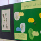 Helytörténet és rajzpályázat eredményhírdetése a Györffyben