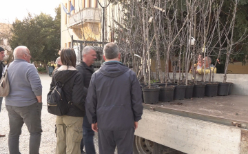 GYÜMÖLCSFA-OSZTÁS KARCAGON