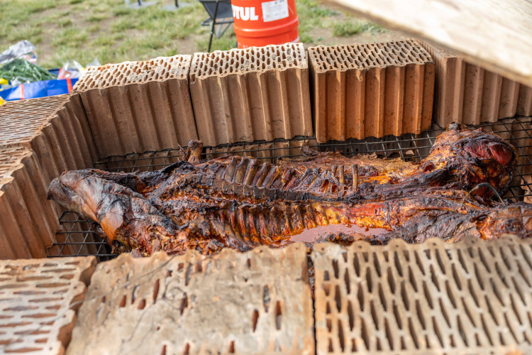 BBQ Fesztivál