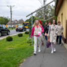 Séta a mellrák ellen