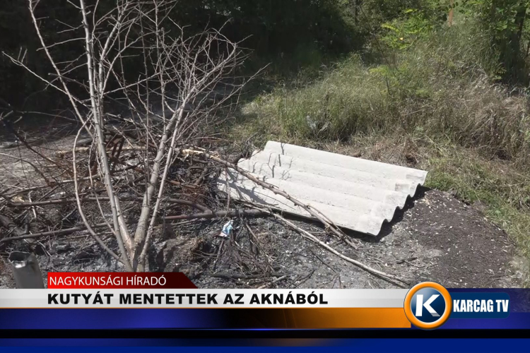 KUTYÁT MENTETTEK AZ AKNÁBÓL