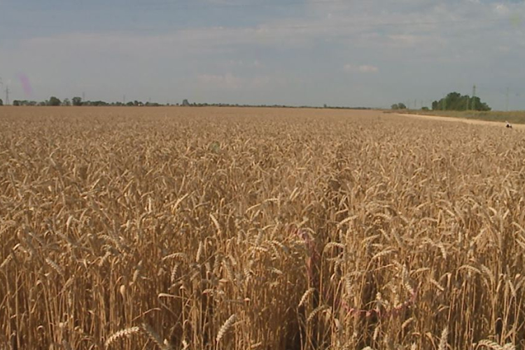Indul az országos jégkár-mérséklő rendszer 