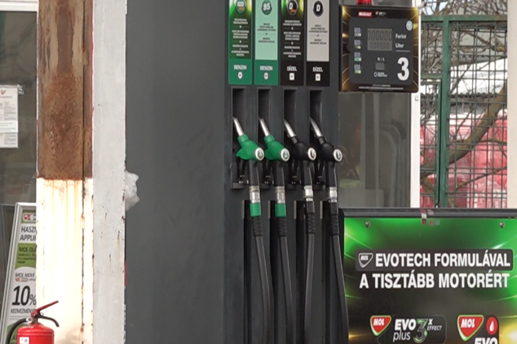 HAMIS EURÓVAL FIZETETT