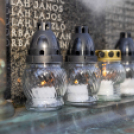 Megemlékezés a doni hősök tiszteletére