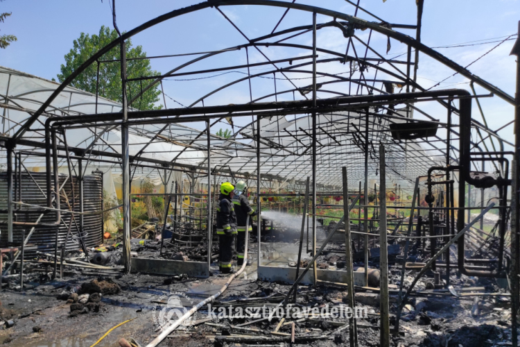  Fóliasátrak égtek egy törökszentmiklósi kertészetben