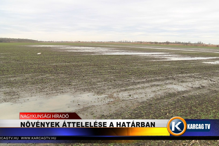 Növények áttelelése a határban