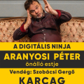 A DIGITÁLIS NINJA  ARANYOSI PÉTER önálló estje
