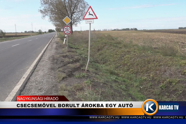 CSECSEMŐVEL BORULT ÁROKBA EGY AUTÓ