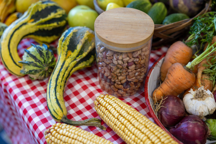 Magyarország Legszebb Konyhakertjei országos díjátadó