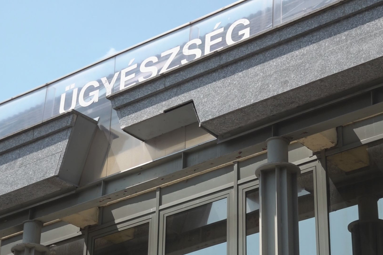 MAGÁVAL VITTE A PIACON TALÁLT TELI KOSARAT