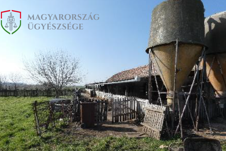 Kihasználták, hogy nem mindig működik a biztonsági kamera