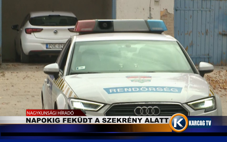 NAPOKIG FEKÜDT A SZEKRÉNY ALATT  