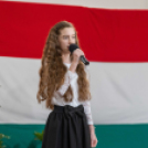 Magyar Kultúra Napja Karcagon