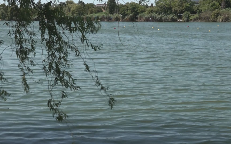 NYÁRI VÍZSZINTTEL TELEL AZ ALCSI HOLT- TISZA