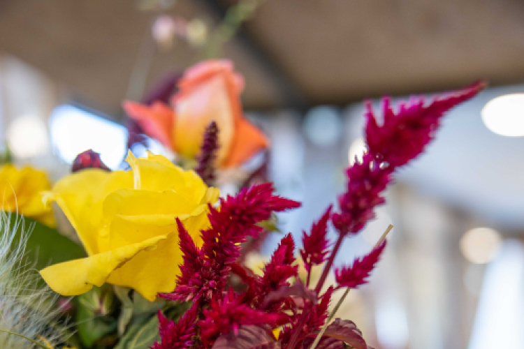 Magyarország Legszebb Konyhakertjei országos díjátadó