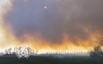  Tíz hektár égett le Fegyverneknél
