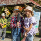 Fecskevató a Györffyben