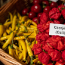 Magyarország Legszebb Konyhakertjei országos díjátadó