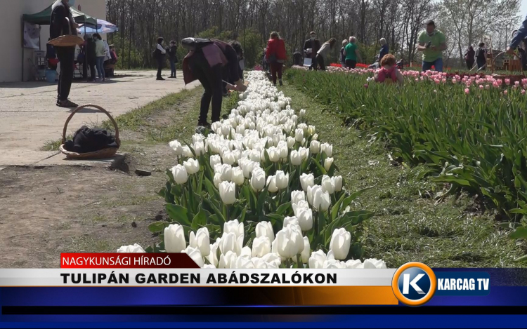 TULIPGARDEN ABÁDSZALÓKON