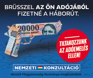nemzeti knzultácio 300x 250